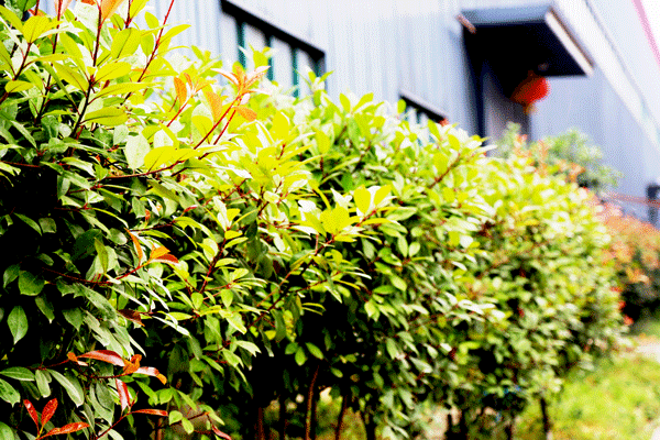 天然居硅藻泥第22期營銷培訓圓滿結業 天然居硅藻泥第22期營銷培訓圓滿結業